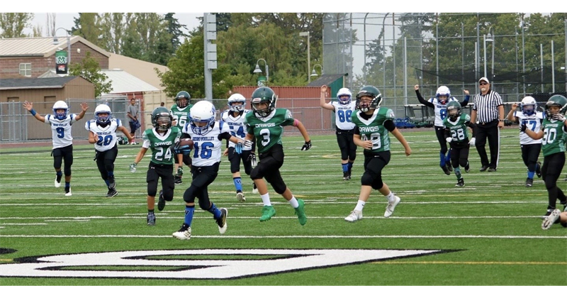 Sedro Woolley Youth Football and Cheer > Home